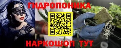 марки lsd Гай