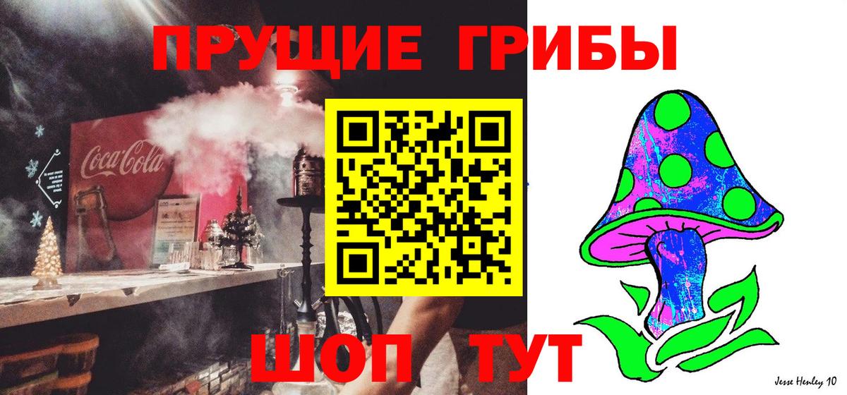 Псилоцибиновые грибы Psilocybe  Вход с VPN  Галлюциногенные грибы Cubensis  Нефтекумск 