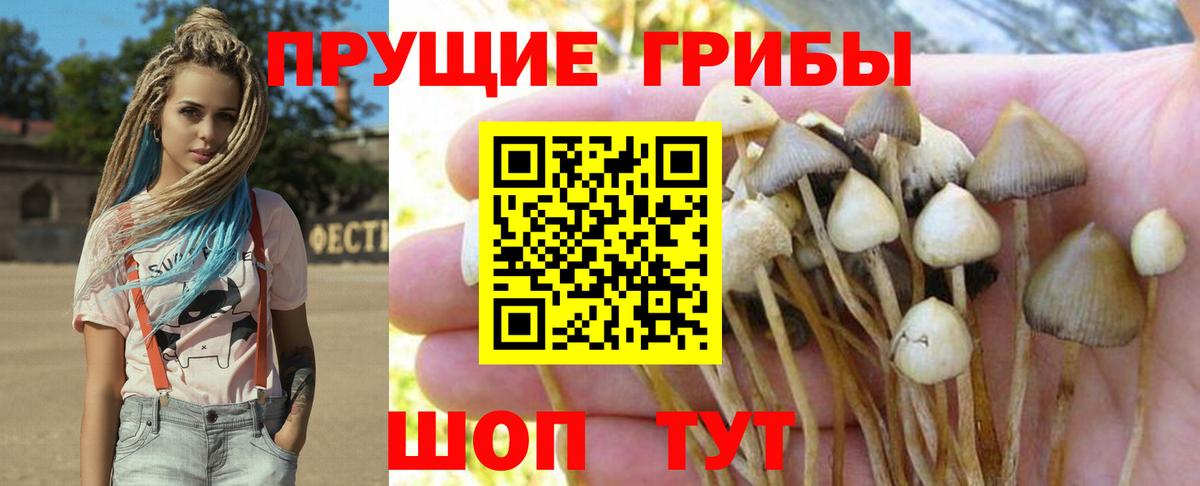Галлюциногенные грибы мицелий Нефтекумск
